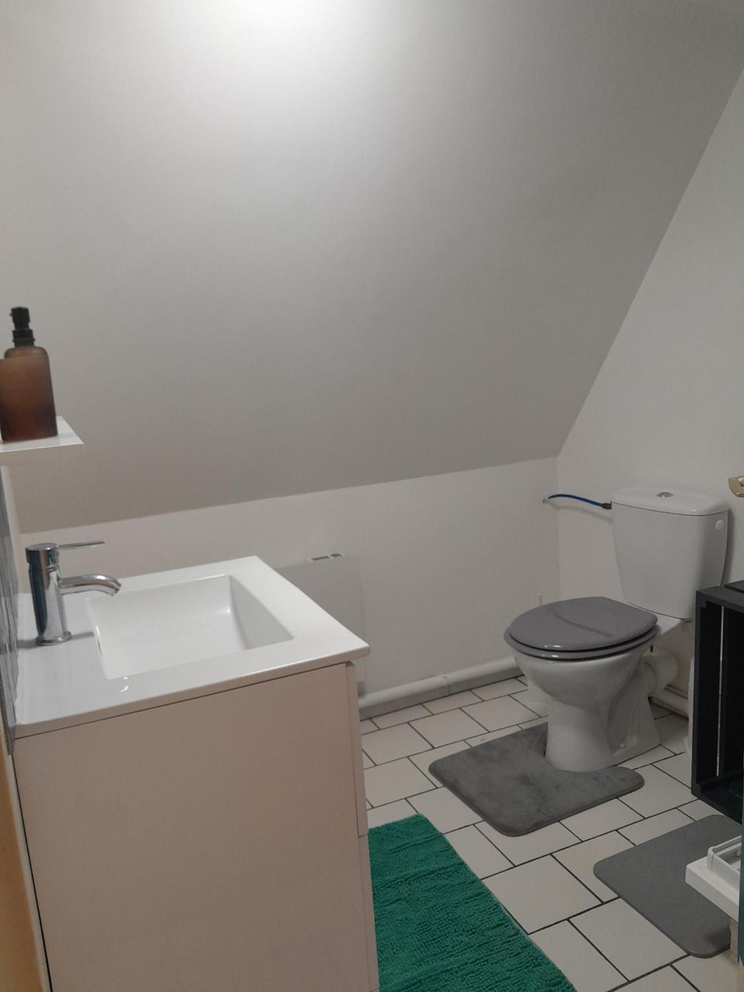 Duplex Charmant Au Coeur De Levroux Екстер'єр фото
